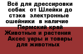 Всё для дрессировки собак ,от Шлейки до стэка,(электронные  ошейники  в наличие) - Пермский край Животные и растения » Аксесcуары и товары для животных   